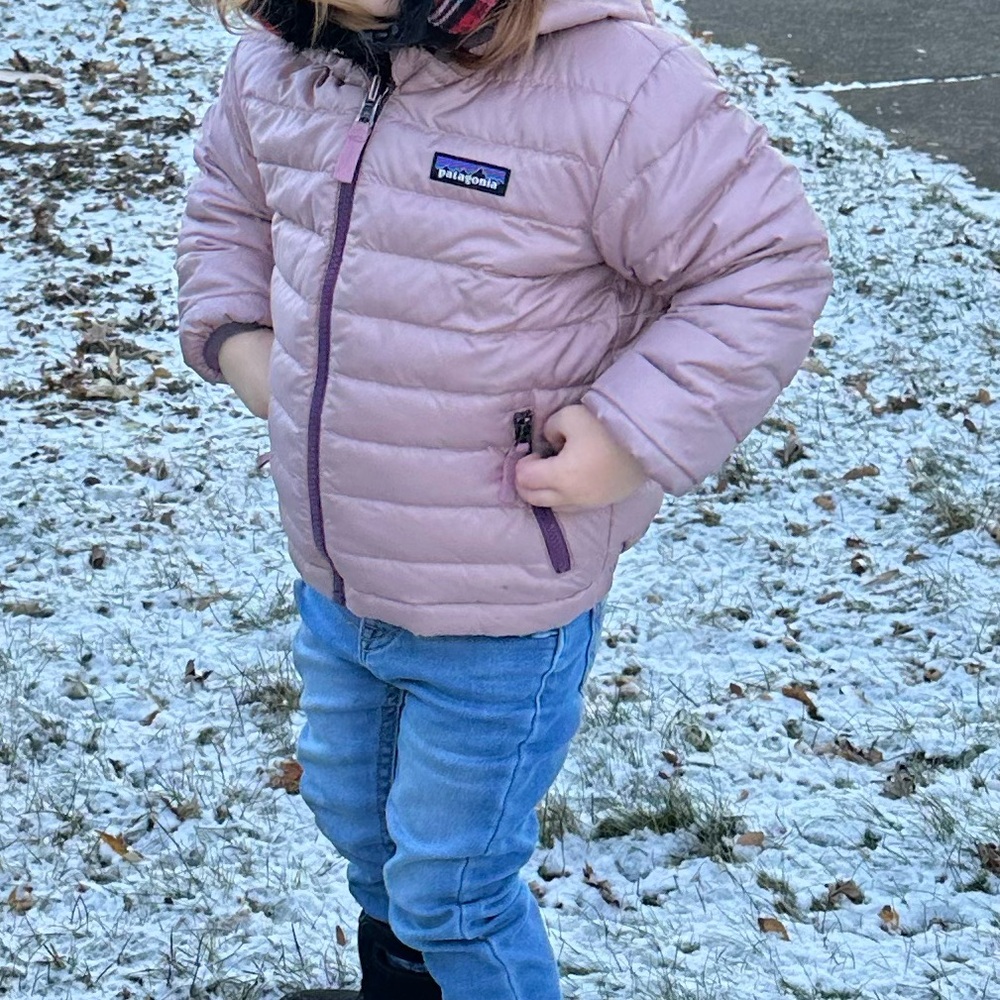 Patagonia Nanopuff 3T - Picture 4 of 4